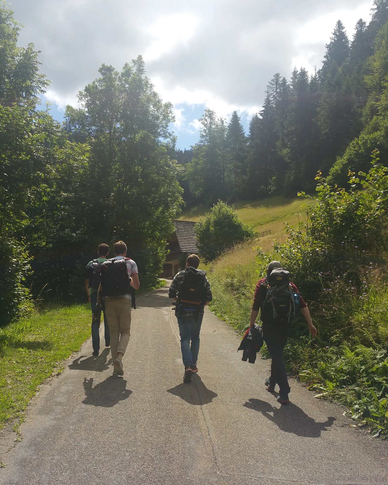 Vier Fotografen mit großen Rucksäcken gehen auf einem geteerten Weg leicht bergan Richtung Wald, sonniges Wetter mit langen Morgenschatten.